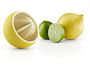 2_zCitrus press.jpg