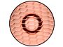 2_z58025885oo_14_f.jpg