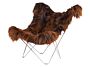 2_LIceland_Mariposa_wild_Brown_Brisa_BIG.jpg
