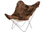 2_Iceland_Mariposa_Shorn_Brown_Brisa_NY_BIG.jpg