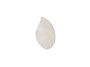 7_zoom_quill_l Copie.jpg