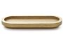 1_astro_tray_8x20.jpg
