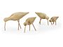 2_zShorebirds_coral_all.jpg