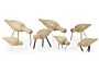 2_zShorebirds_group.jpg