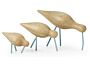 2_z1001_shorebirds_seablue_all.jpg