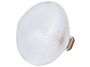 2_zL0010101_tidelight_table lamp_transparent_©PF_cut-out_HD_ (1).jpg