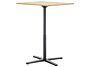 2_z1109415_1106873_Super Fold Table high_Tischplatte ID 633159_F_master.jpg