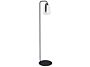 2_BALAD_PIED_SIMPLE_AVEC_LAMPE_CARBONE.jpg