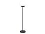 2_MOOON_LAMPE_H134_CARBONE.jpg