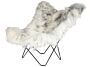 2_Iceland_Mariposa_wild_grey_black_coated_frame.jpg