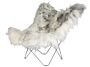 2_Iceland_Mariposa_wild_grey_matte_chrome_frame.jpg