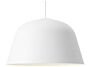 2_ambit-o55-white.tif-900x900.jpeg