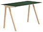 1_Variant_cph90mattgreen-removebg-preview.jpg