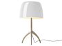 2_8200900094076lumiere-grande-white-chapagne-dim1_1.jpg