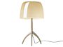 2_8200900094077lumiere-grande-warm-white-chapagne-dim1 (1)_1.jpg
