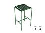 1_Tabouret de jardin haut_laqué_vert sapin.jpg