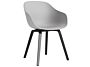 2_AC110-D165-AA51_AAC 222 concrete grey 2.0 shell_black wb lacquer oak base.jpg