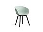 2_AA205-D141-AA51_AAC 22 dusty mint 2.0 shell_black wb lacquered oak base.jpg