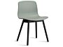 2_AA121-D144-AA51_AAC 12 fall green 2.0 shell_black wb lacquered oak base.jpg
