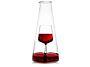 1_NBOTTIGLIA wine decanter.jpg
