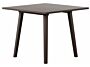 2_Tisch_80x80_HG_110_Buche_wenge.jpg