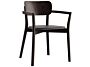 2_4-053a_HG110_Buche_wenge_1.jpg