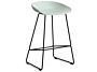 2_AA073-D141-AA51_AAS 38 H65 dusty mint 2.0 shell_black powder coated steel base.jpg