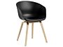 2_AA207-D350-AA33-01UM_AAC 22 black 2.0 shell_seat uph Sierra SI1001_wb lacquer oak base (1).jpg