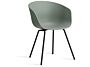 2_AA229- D144-AA51_AAC 26 fall green 2.0 shell_black powder coated steel base (1).jpg