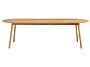 2_zAA653-A296-AA66_Triangle Leg Table_L250xW85xH74_oiled oak 01.jpg