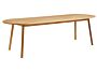 2_AA653-A296-AA66_Triangle Leg Table_L250xW85xH74_oiled oak 02.jpg