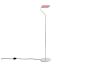 2_AE385-B549_Apex_Floor_Lamp_luis_pink.jpg