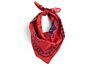 2_zAE930-D281-AB27_HAY Dogs Scarf Recycled red 01.jpg
