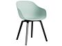 2_AC110-D141-AA51_AAC 222 dusty mint 2.0 shell_black wb lacquer oak base.jpg