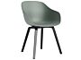 2_AC110-D144-AA51_AAC 222 fall green 2.0 shell_black wb lacquer oak base.jpg