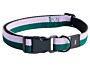 1_hay dogs collar flat m l lavender green.jpg