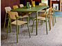 CALVI_STUDIE_CHENE_PESTO_PAIN_D_EPICES_YOGA_ALBUM2024_LOUISE_CARRASCO_BD.jpg