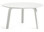 2_AA683-A356-AA76white wb lacquer oak.jpg