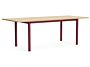 2_AF221-F306-AT16_Annex Table Overhang barn red  alu legs and apron L220 x W90 x H75 wb lacq oak tabletop.jpg