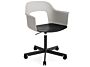 2_AF308-F343-AA51-01UF_Layout Armchair 242_black alu 5 star swivel wheel base_sky grey shell_black oak.jpg