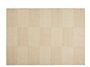 2_aa269-a884-at98_variant_check-rug-w200-x-l300-sand-gb1220x1220px2-removebg-preview.jpg