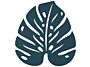 1_BOUQUET_SAUVAGE_DESSOUS_DE_PLAT_MONSTERA_BLEU_ACAPULCO_SKU_301821.jpg