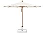 2_250 cat 2 158 off White.jpg