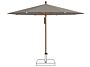 2_461 - Taupe cat 4 250.jpg