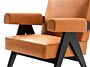 2_zCapitol Complex Armchair01.jpg