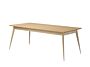 2_TABLE 200 GRIS BEIGE.jpg