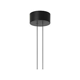 Small Rose Arrangements | Power supply 70 watts