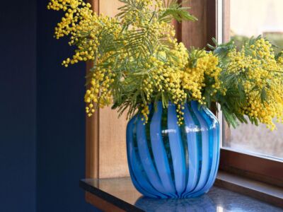 Juice vase