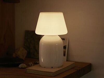 Apollo table lamp shade