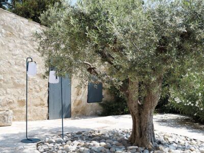 Balad | Planting foot